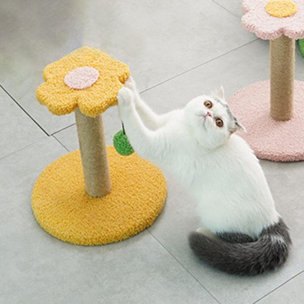 Cute Cats Scratching Post