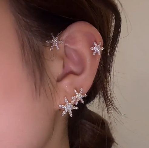🎁The best gifts for women - Shiny zircon earrings
