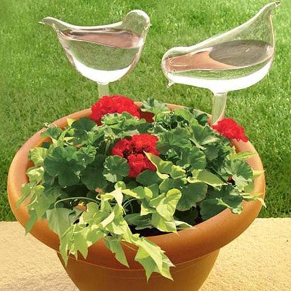 (🔥Last Day Promotion-SAVE 50% OFF) Self-Watering Plant Glass Bulbs - Buy 6 Sets Free Shipping!