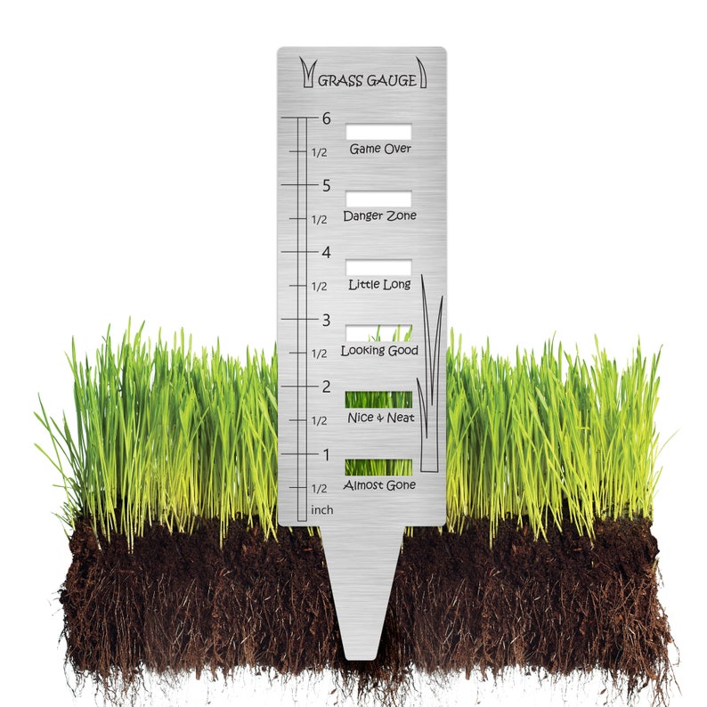 🔥Last Day Promotion -49% OFF🔥Grass Gauge - Ultimate Lawn Tool - Perfect Gift for Dad