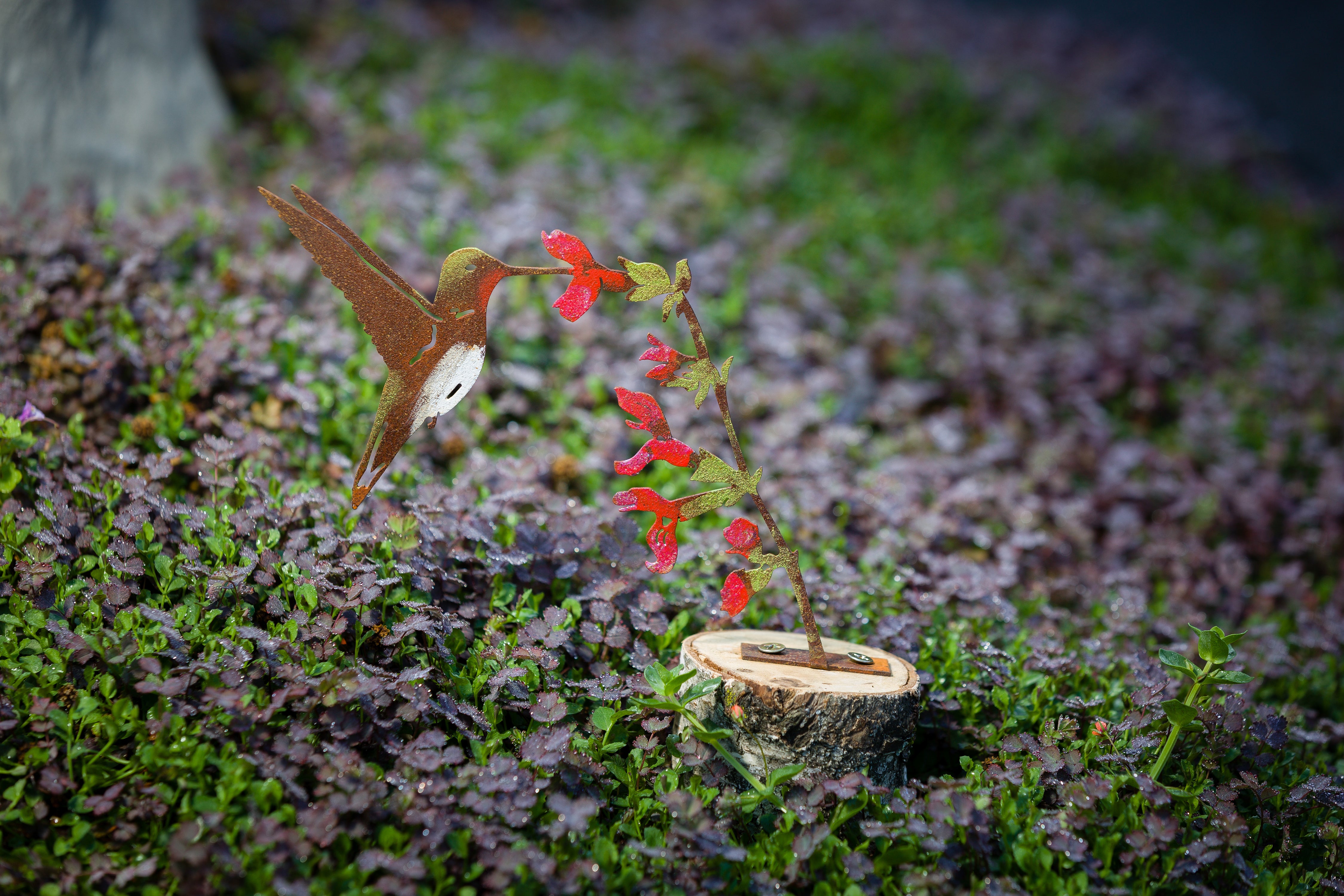 Hummingbird on Flower - Painted