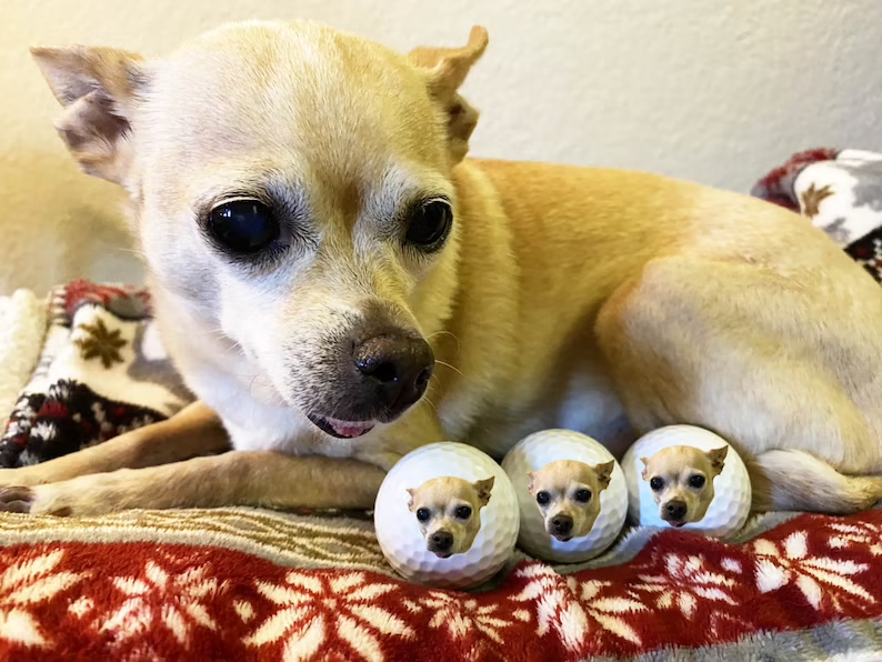 Pet Golf Balls | Personalized Custom Pet Portrait Gift