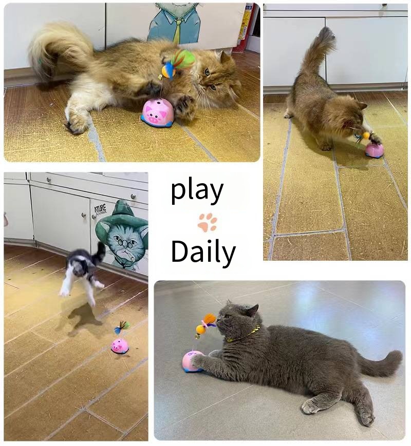 (🔥Last Day Promotion-SAVE 50% OFF)😽Smart Sensing Interative Cat Toy-BUY 2 GET 10% OFF & FREE SHIPPING！