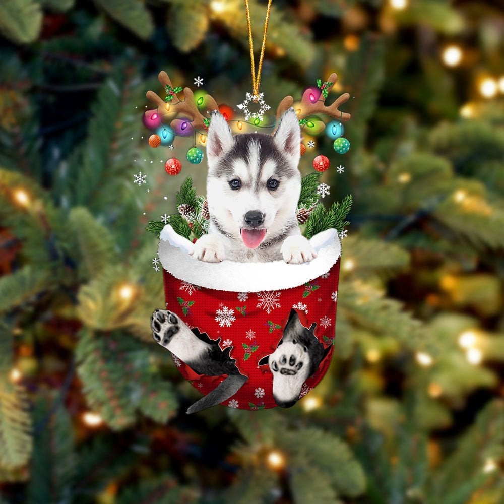 Husky 2 In Snow Pocket Ornament