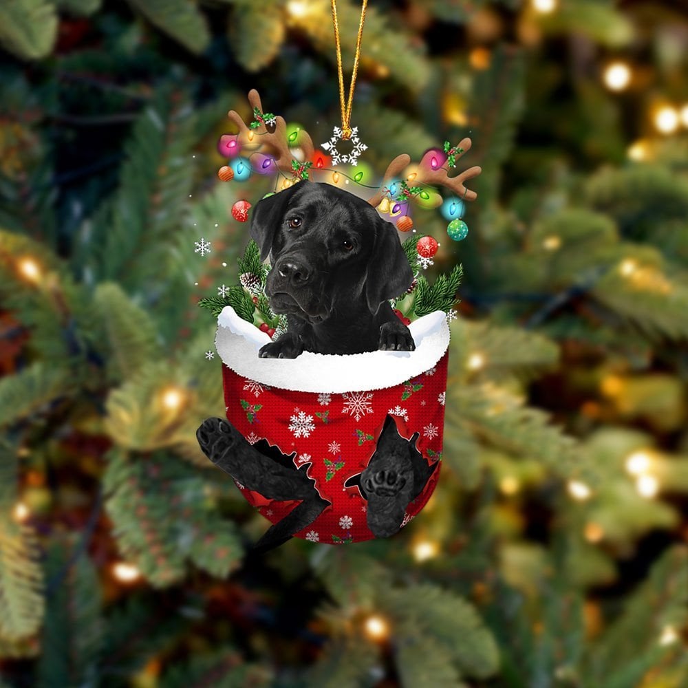 BLACK Labrador In Snow Pocket Ornament