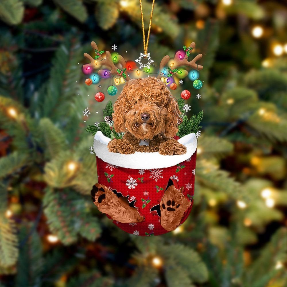 RED Labradoodle In Snow Pocket Ornament