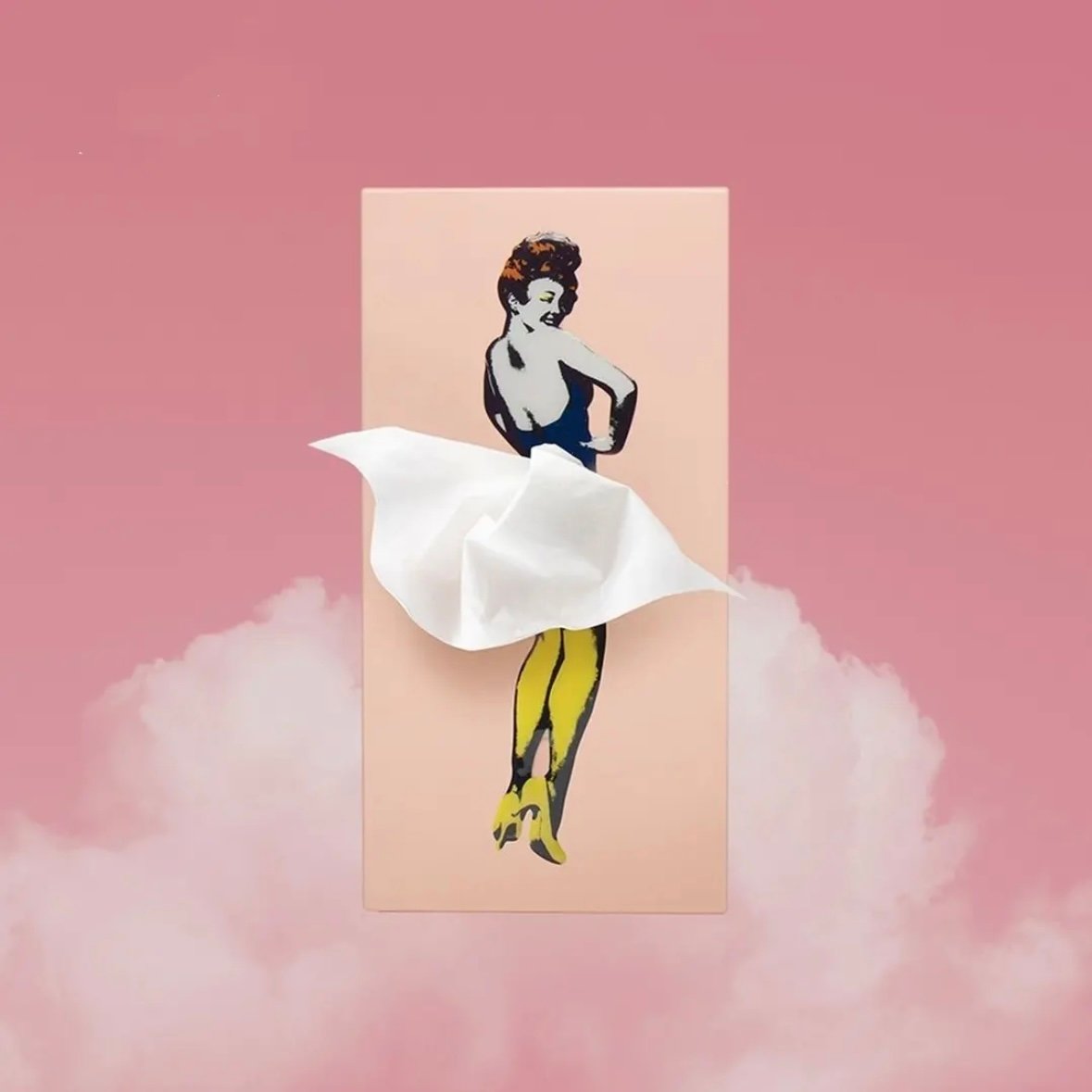 🔥LAST DAY 70% OFF🎁 - Flying Skirt Tissue Box