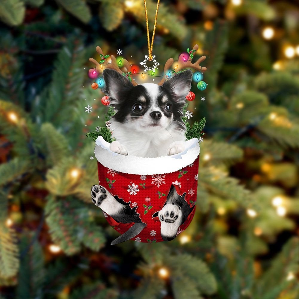 Long haired white Chihuahua In Snow Pocket Ornament