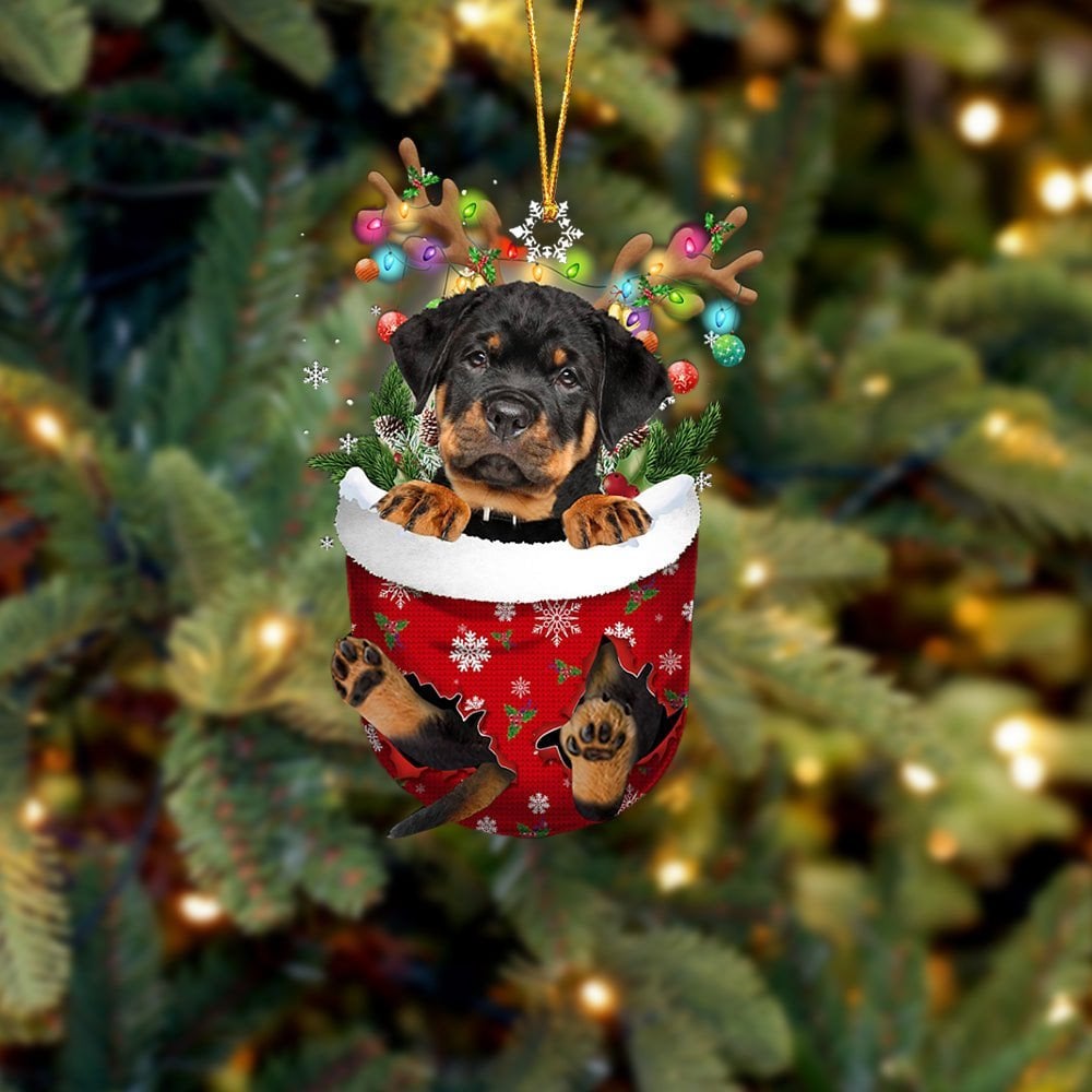 Rottweiler In Snow Pocket Ornament