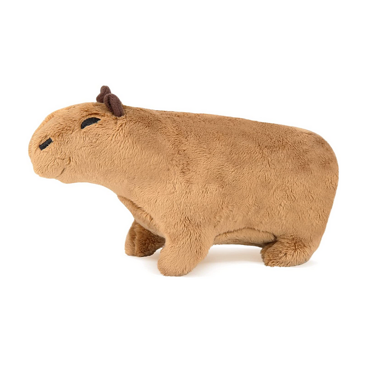Fluffy & Cute Plushie