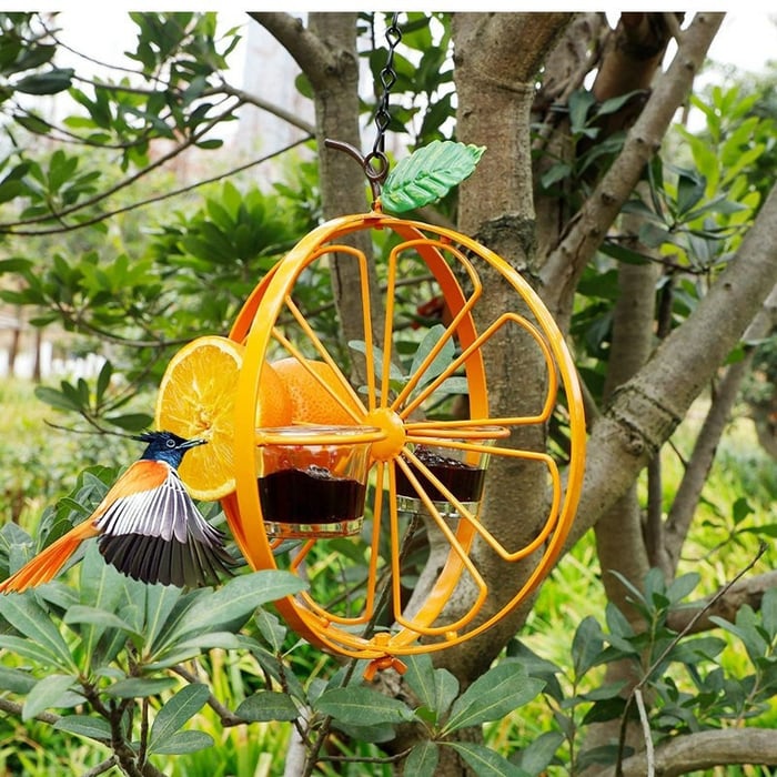 🔥Last Day 49% Off - 2-in-1 Hanging Hummingbird Oriole Feeder
