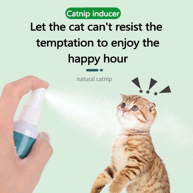(🔥3rd Anniversary Sale) Premium High Potency All Natural Catnip Spray - Buy 3 Get 2 Free Now