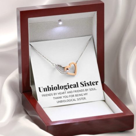 Unbilogical Sister - Infinity Love - Interlocking Necklace
