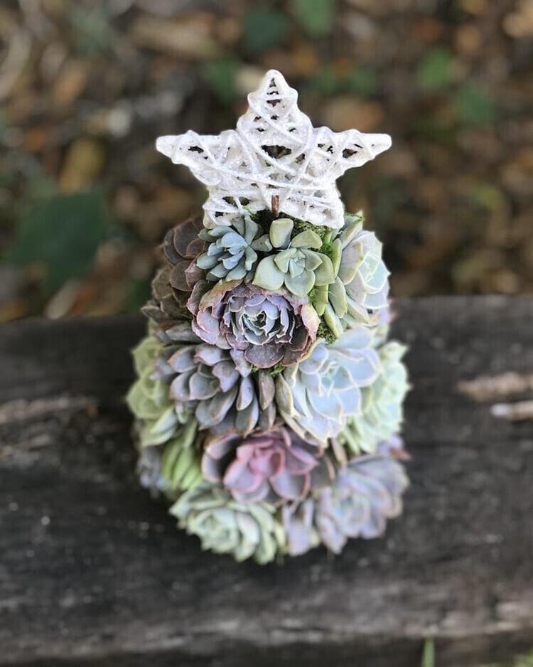 🔥Clearance Sale - 49% OFF 🎄2023 Succulent Christmas Tree