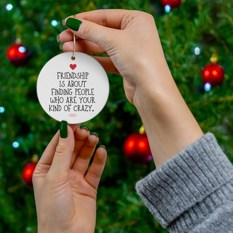 🎁💝 2023 CHRISTMAS GIFT - Funny Friendship Ornament😂