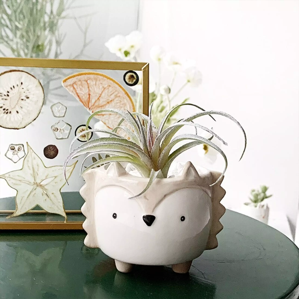 Cartoon Animal Shaped Ceramic Flower Pots