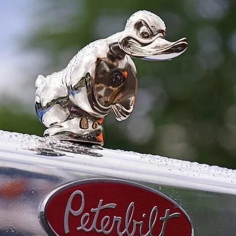 🔥New For 2023 - Wile E Coyote Hood Ornament-Buy Two Save 10%  And Free Shipping