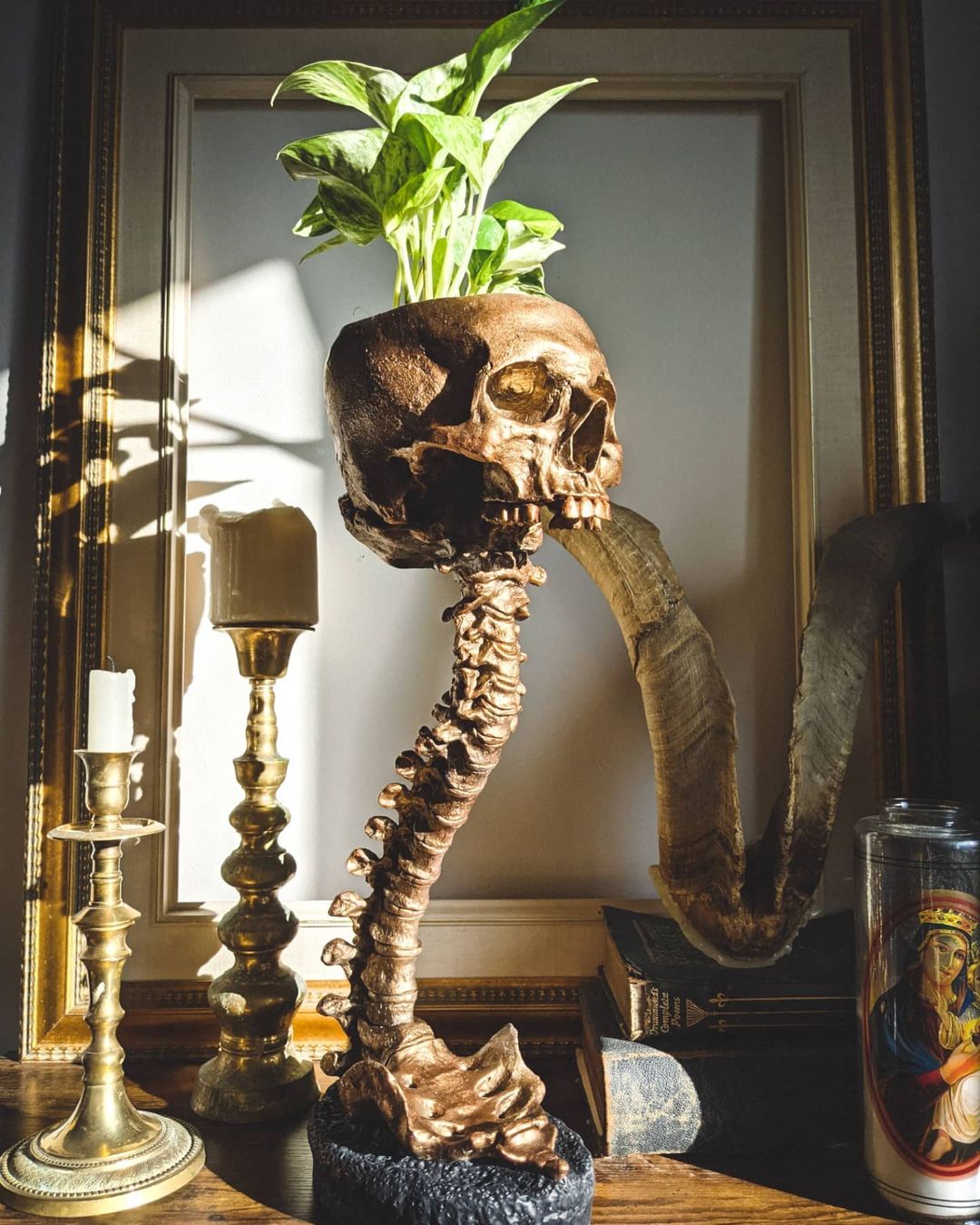 Skull Planter & Spine Stand Set