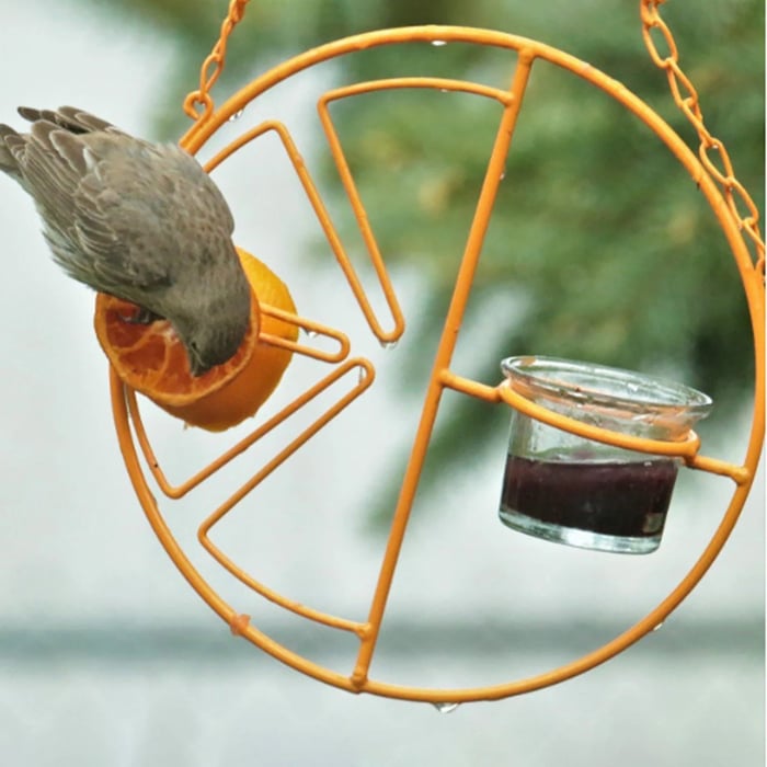 🔥Last Day 49% Off - 2-in-1 Hanging Hummingbird Oriole Feeder