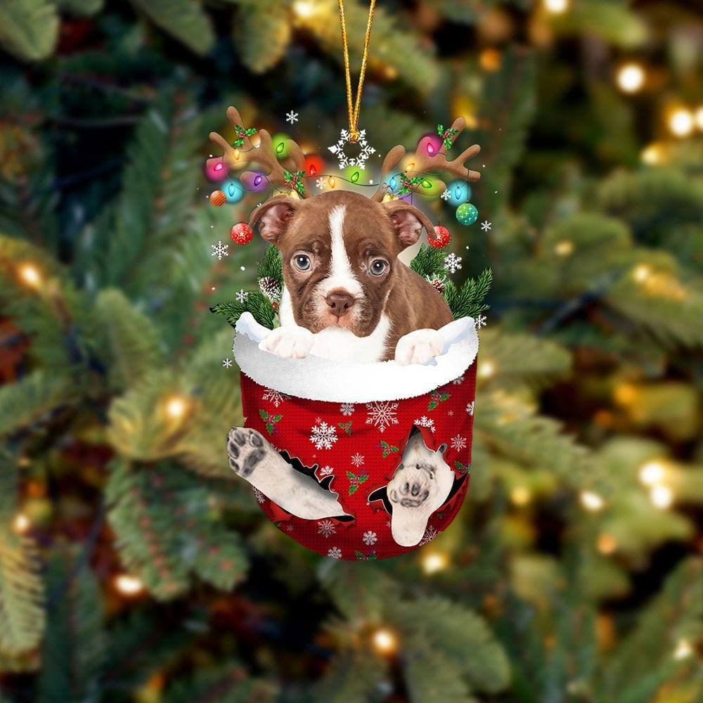 RED Boston Terrier In Snow Pocket Ornament