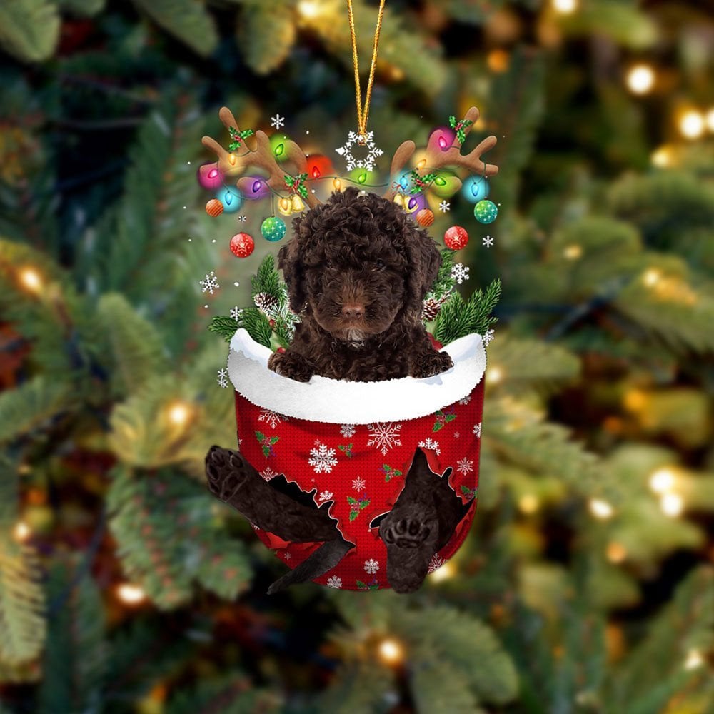 Spanish Water Dog In Snow Pocket Ornament