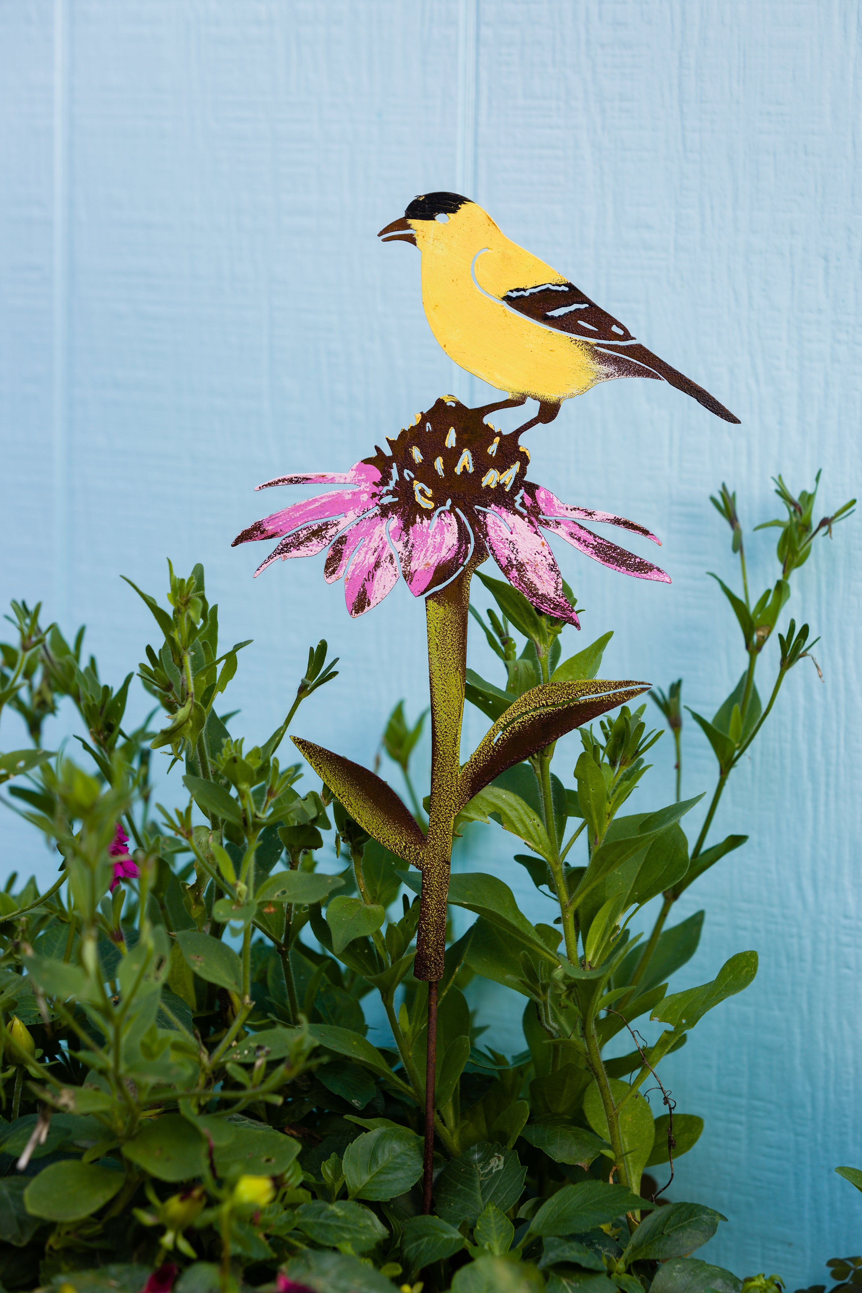 Goldfinch on Cone Flower - Painted