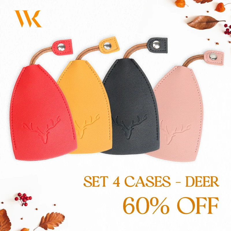 WinkKey - Protective Pull Out Key Case