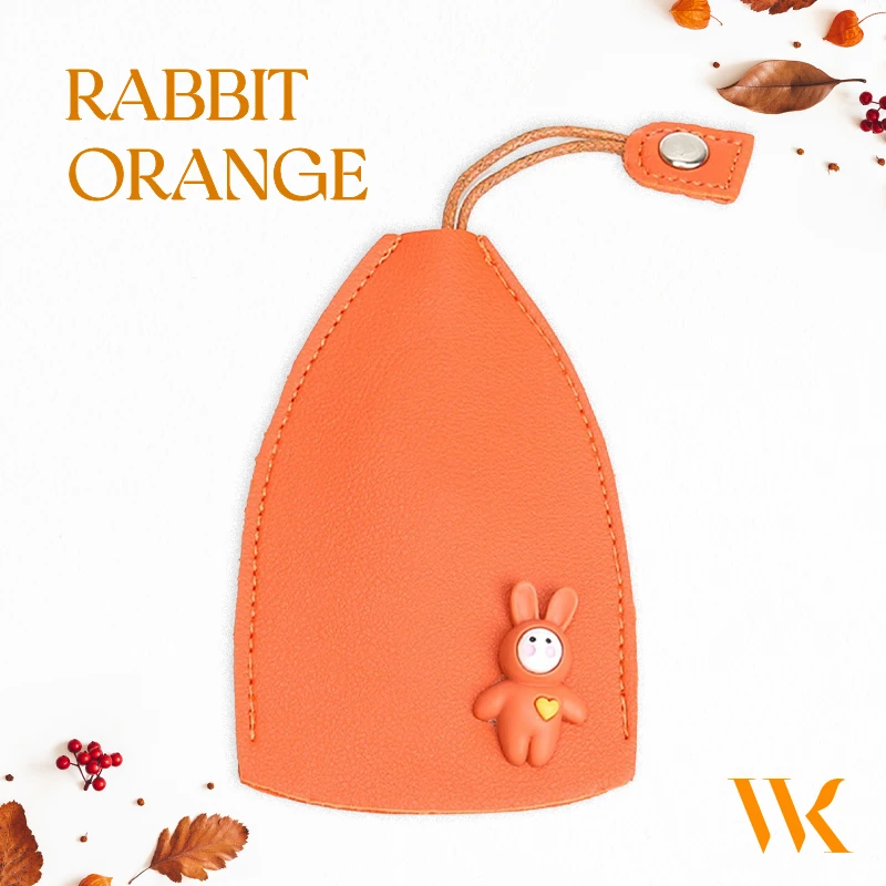 WinkKey - Protective Pull Out Key Case