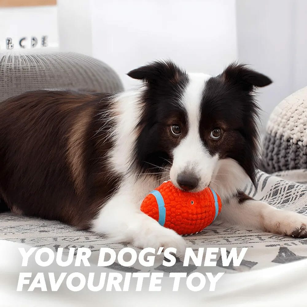 CHEWBALL – IMMORTAL TOY FOR AGGRESSIVE CHEWERS