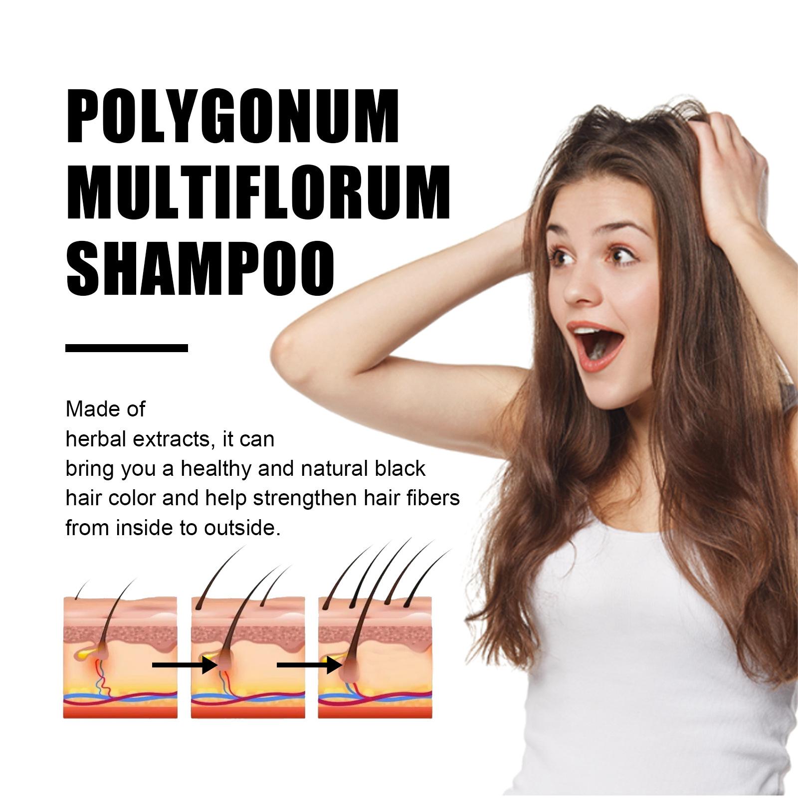 Polygonum Multiflorum Shampoo