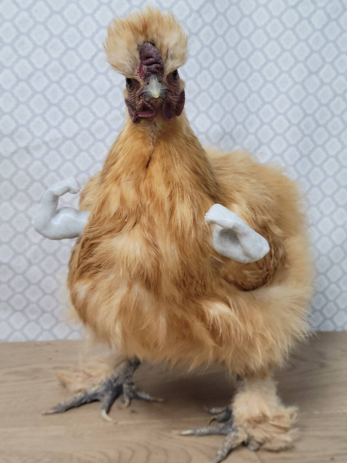 Chicken Arms , Strong Arms, Buff Arms, Chicken Costume，Funny Chicken Gift