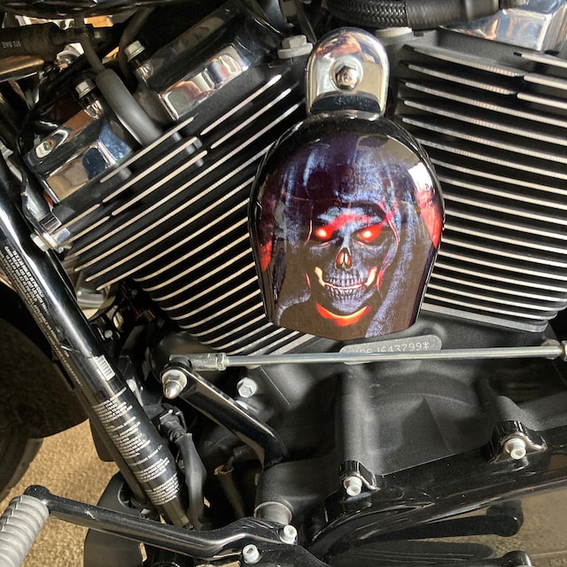 Harley Davidson Custom Made COWBELL HORN COVER- for Big Twin, Twin Cam, Milwaukee Eight, Sportster.... Demon