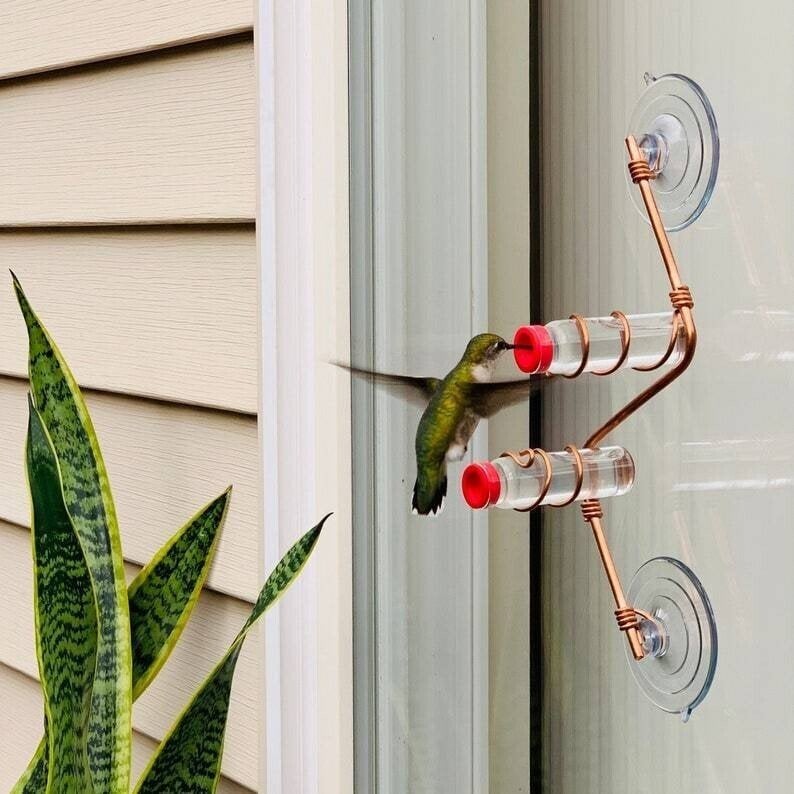 New Year Promotion - Geometric Window Hummingbird Feeder