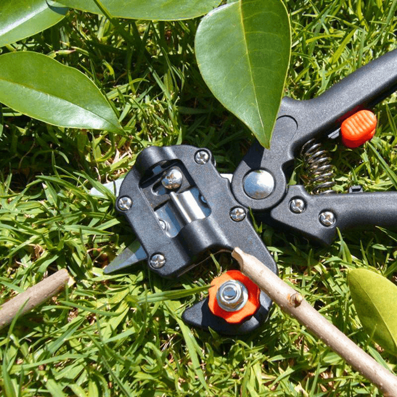 🔥Last Day Promotion - 50% OFF🔥 Professional Garden Grafting Tool Kit-Buy 2 Get 10% Off & Free Shipping