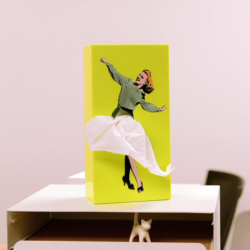 🎁LAST DAY 70%OFF✨ - Flying Skirt Tissue Box