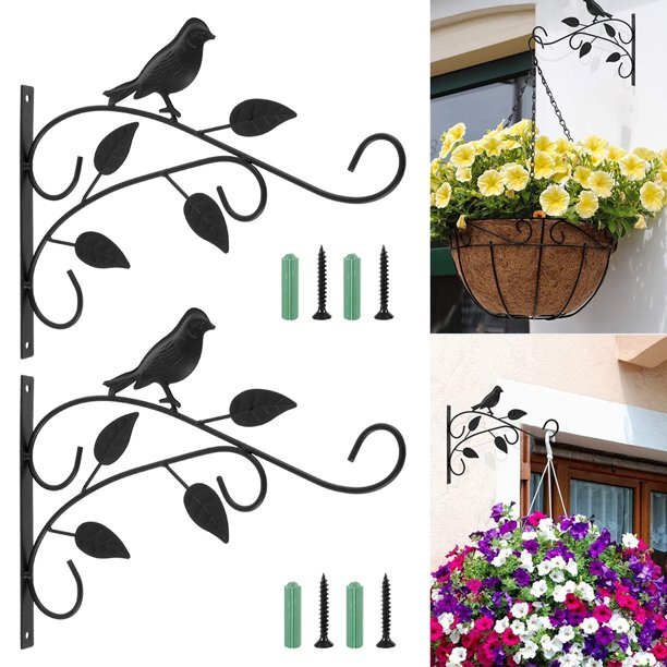 Hanging Plants Bracket