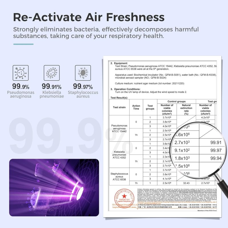 Aroeve Air Purifiers for Home Large Room With Air Circulator Fan System