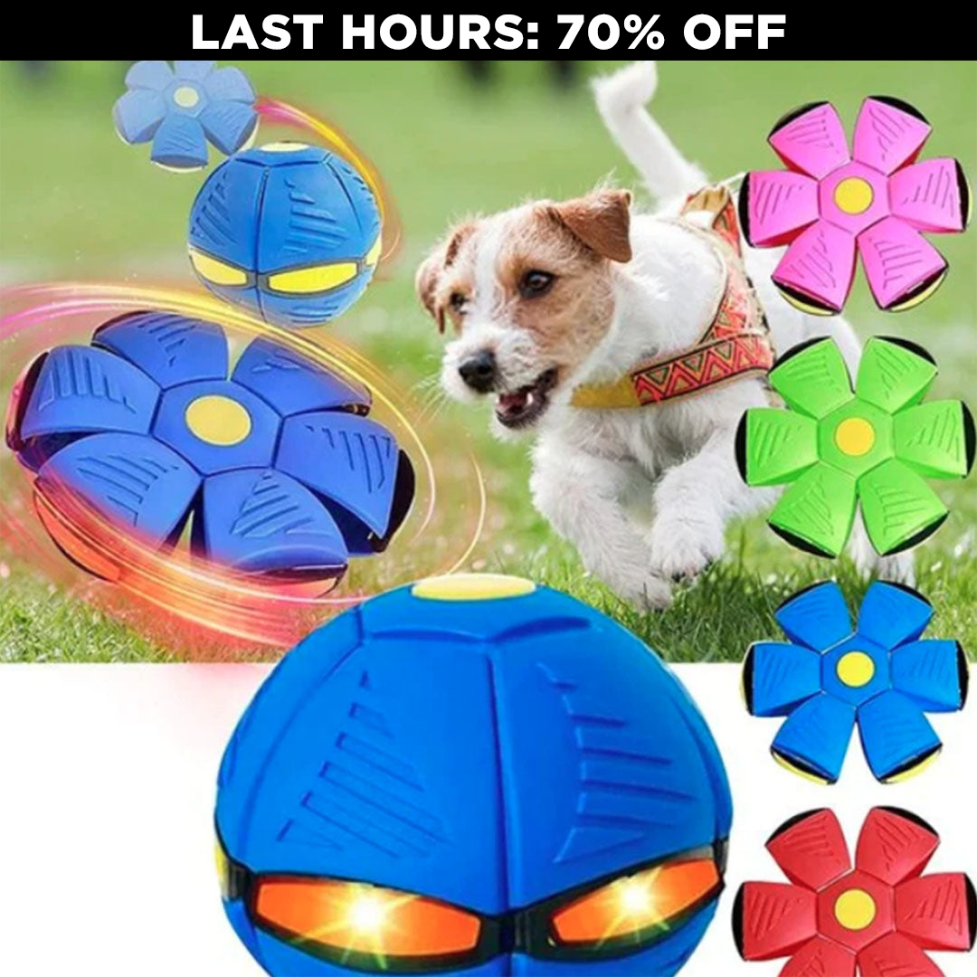 AirBall - Interactive Ball for Dogs