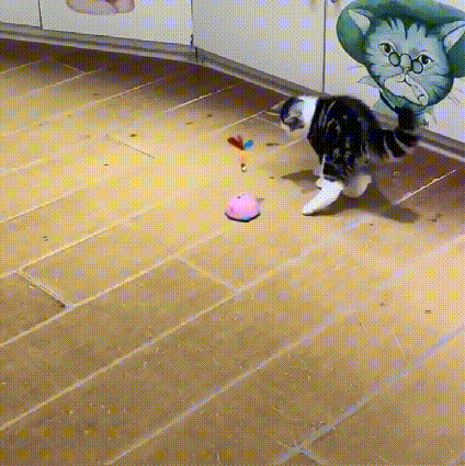 (🔥Last Day Promotion-SAVE 50% OFF)😽Smart Sensing Interative Cat Toy-BUY 2 GET 10% OFF & FREE SHIPPING！