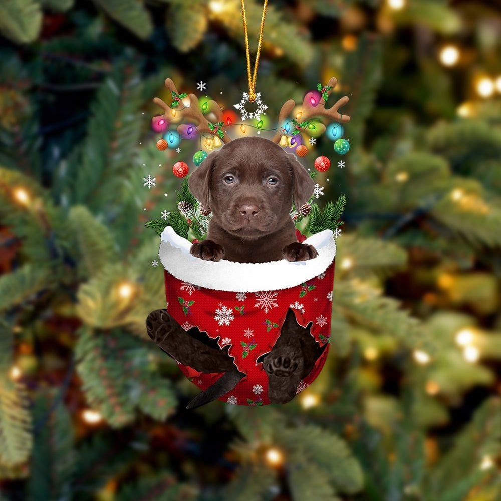 CHOCOLATE Labrador In Snow Pocket Ornament