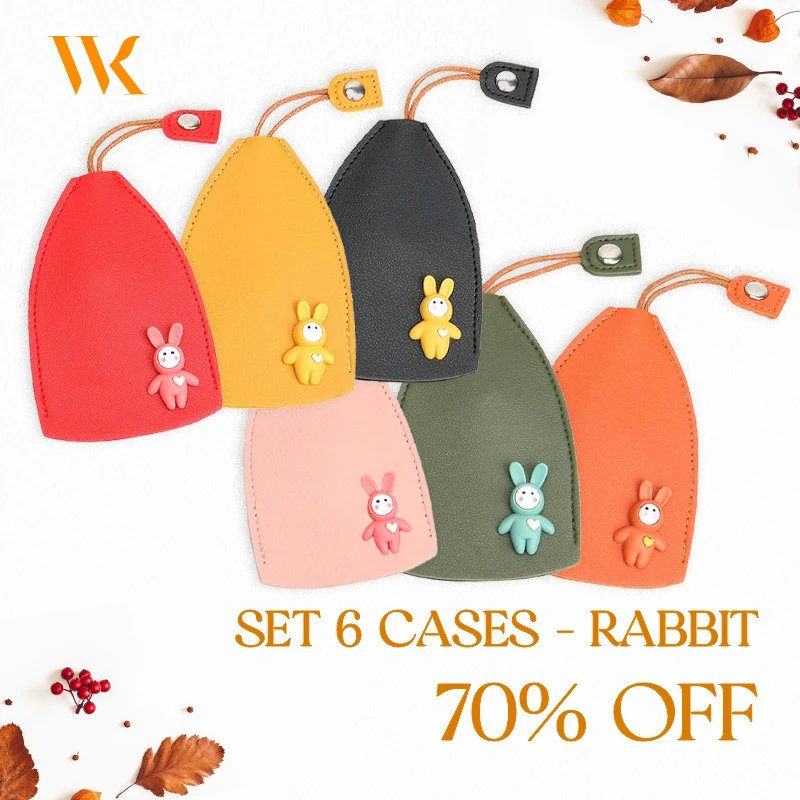 WinkKey - Protective Pull Out Key Case