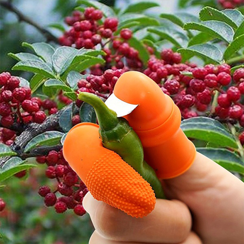 EASY PLUCK - Gardening & Kitchen Thumb Knife
