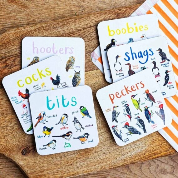 Last Day 70% OFF – Set of 6 Bird Pun Coasters