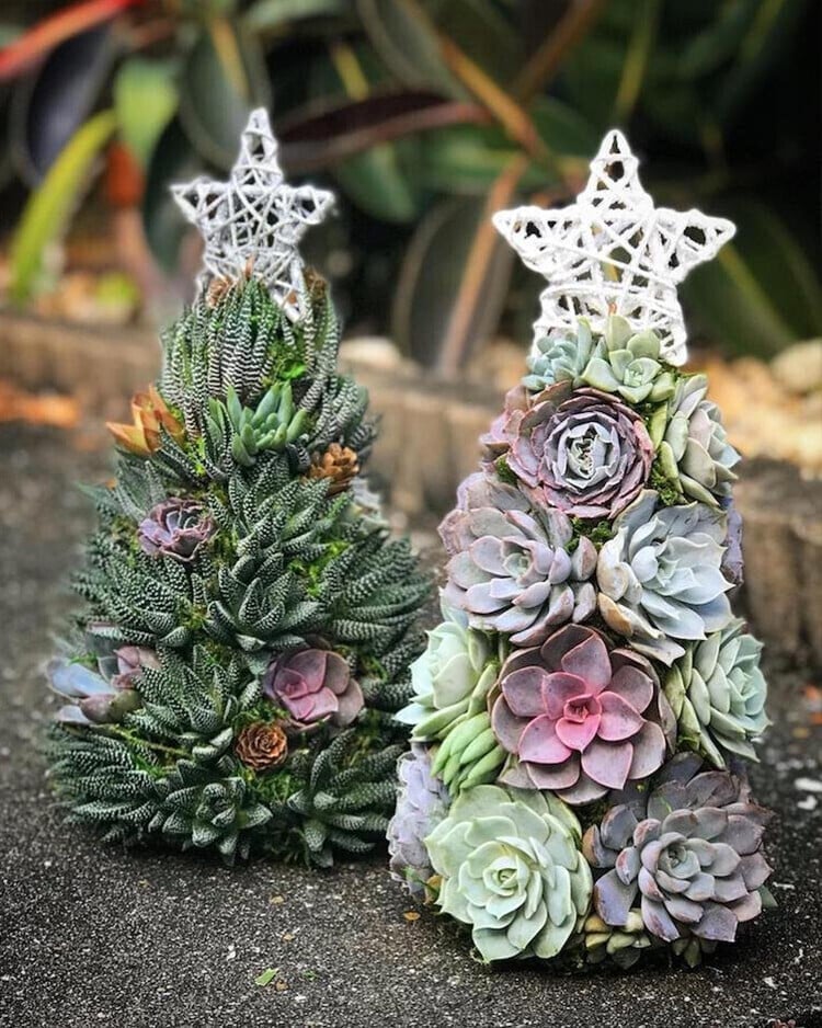 🔥Clearance Sale - 49% OFF 🎄2023 Succulent Christmas Tree