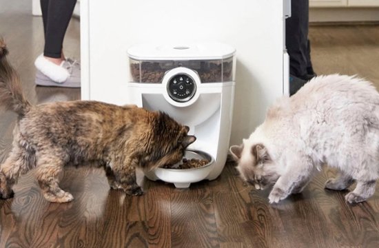 Whisker - Feeder-Robot Wi-fi Cat & Dog Auto-feeder
