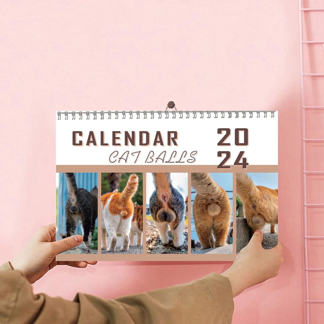 😆Funniest calendar of the century|