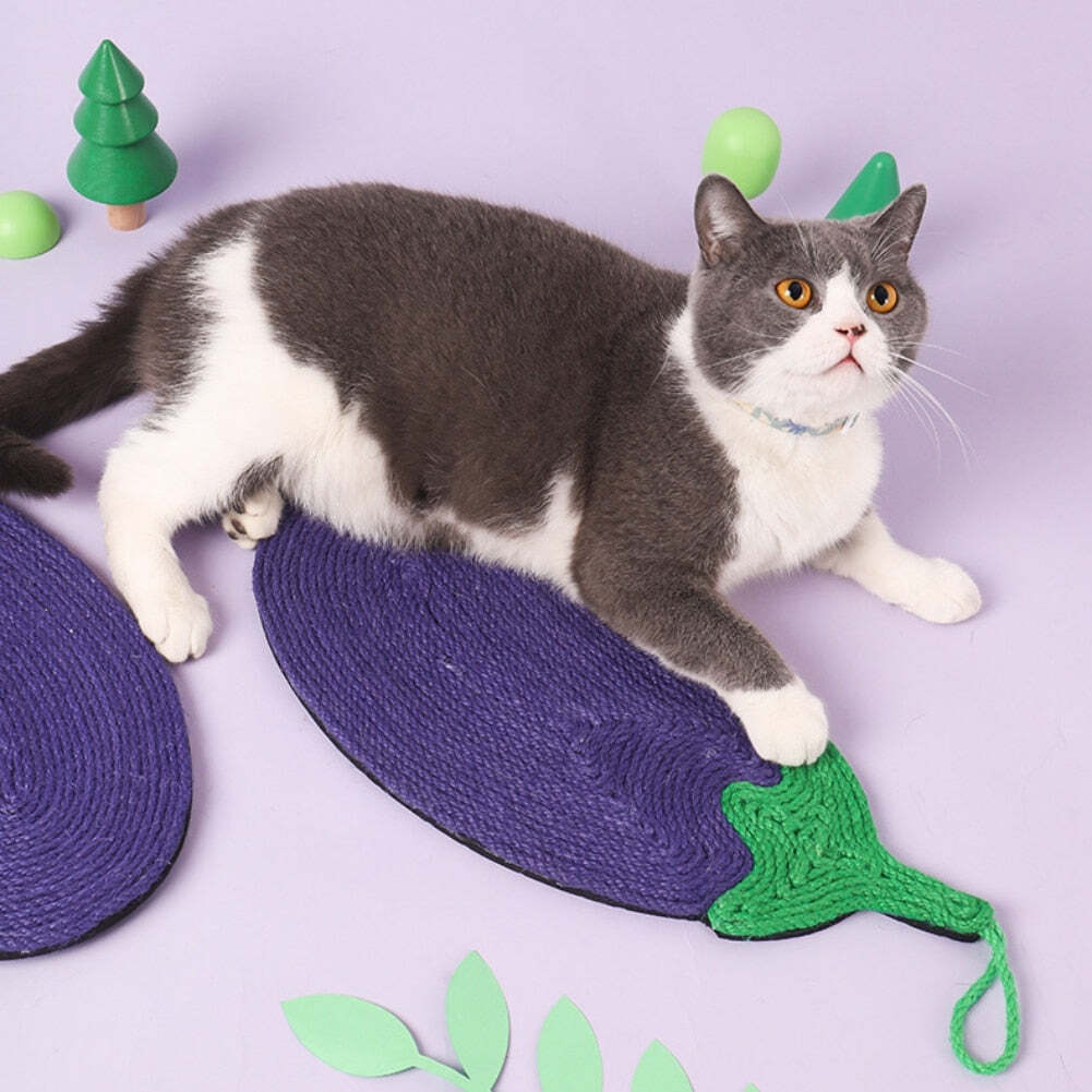 Eggplant Wear Resistant Cat Scratcher