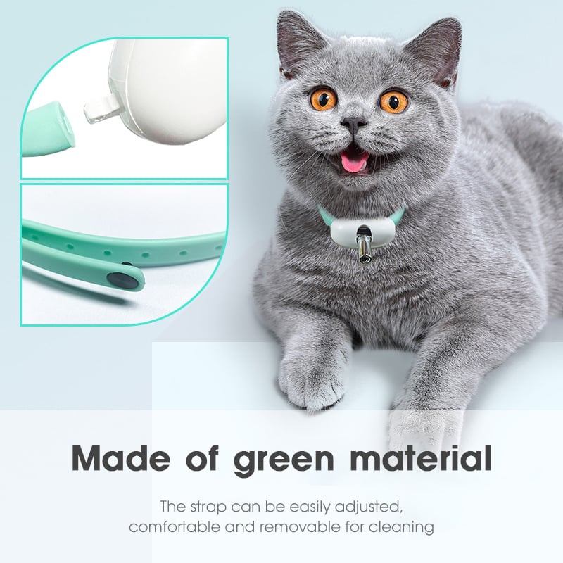 (🌲Early Christmas Sale- SAVE 49% OFF)Electric Smart Amusing Collar for Kitten-⏰BUY 2 GET 12% OFF & FREE SHIPPING