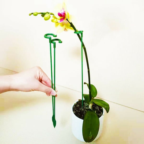 (🔥3rd Anniversary Sale) Plant Support Stake - Buy 3 Sets Get 2 Sets Free
