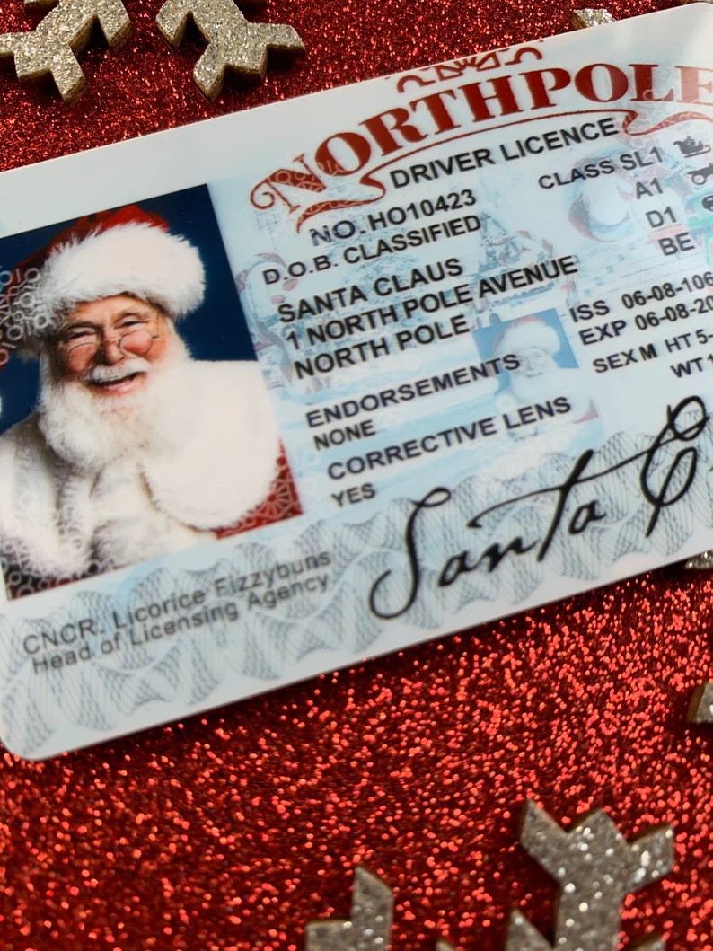 🎁Fun Stocking Stuffer-Santa Driver's License